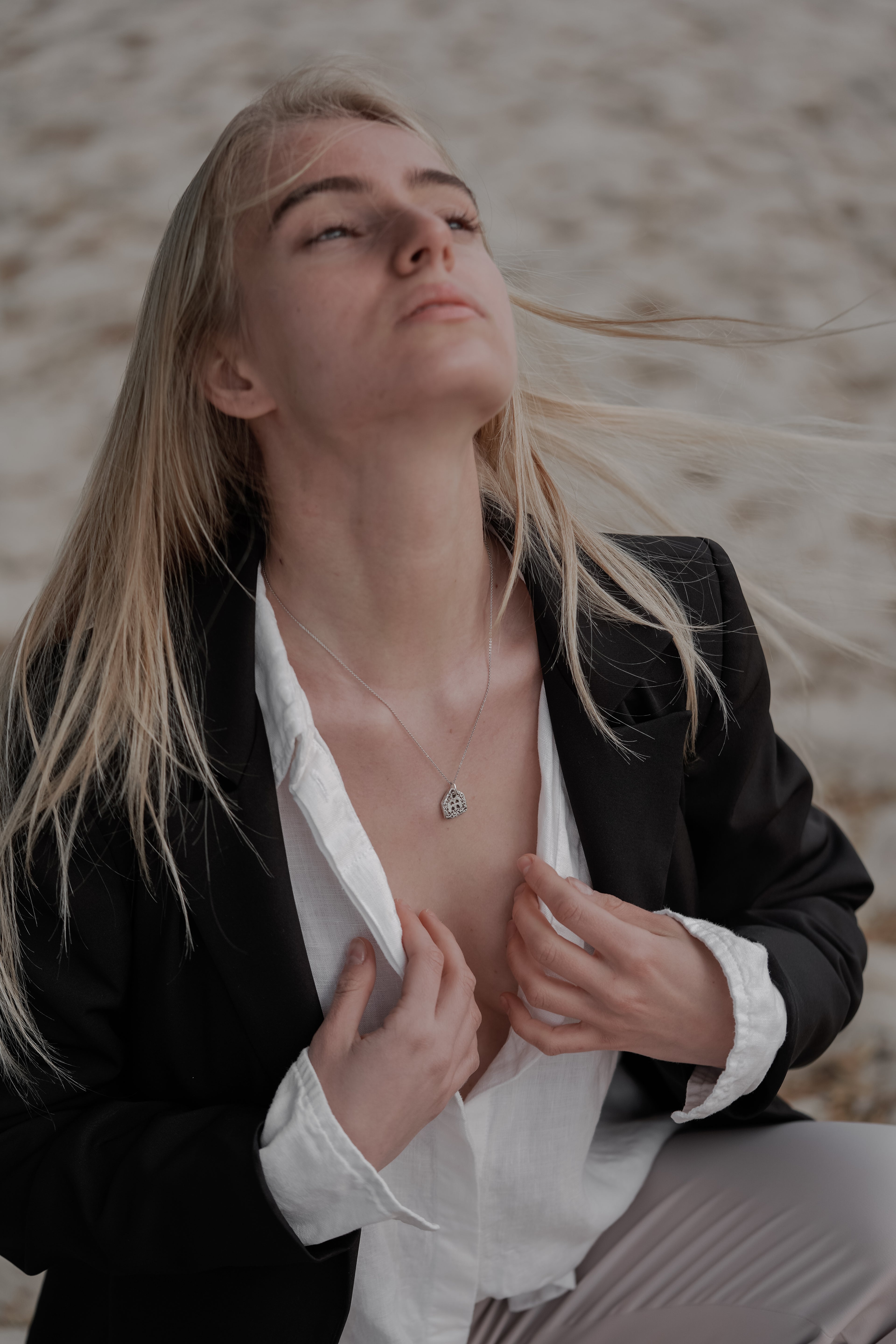 Silver House Necklace